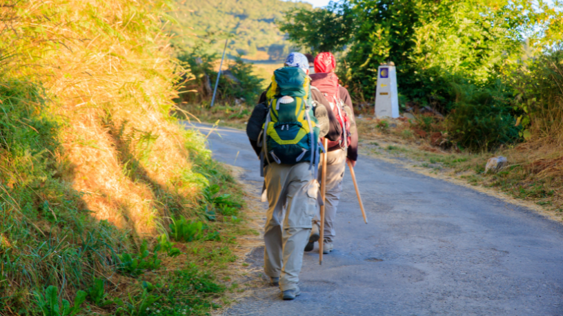 Daugliesi Giacomasi Souza