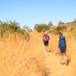 Daugliesi Giacomasi Souza