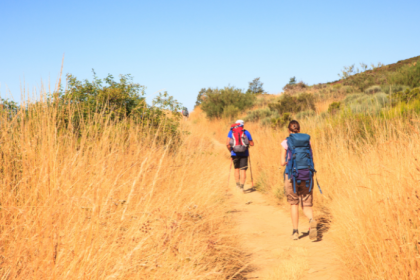 Daugliesi Giacomasi Souza