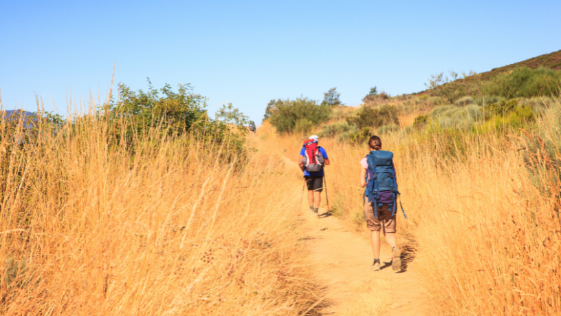 Daugliesi Giacomasi Souza